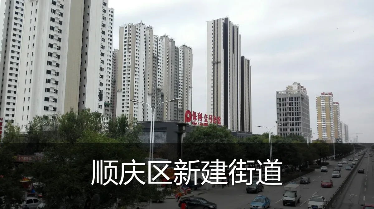 顺庆区新建街道