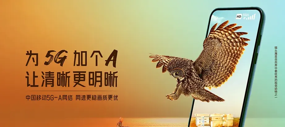 顺庆区顺庆区双桥镇 移动宽带